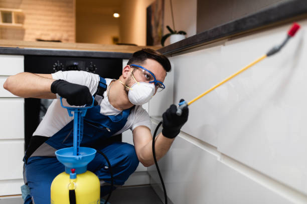 Best Pest Control Near Me in Crawfordville, FL
