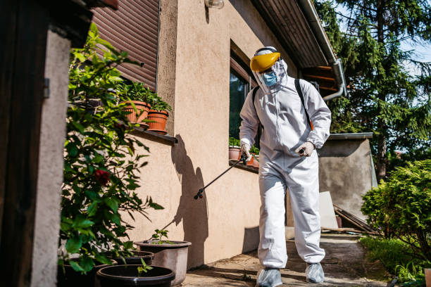 Pest Prevention Services in Crawfordville, FL