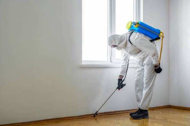 Best Pest Inspection Near Me  in Crawfordville, FL