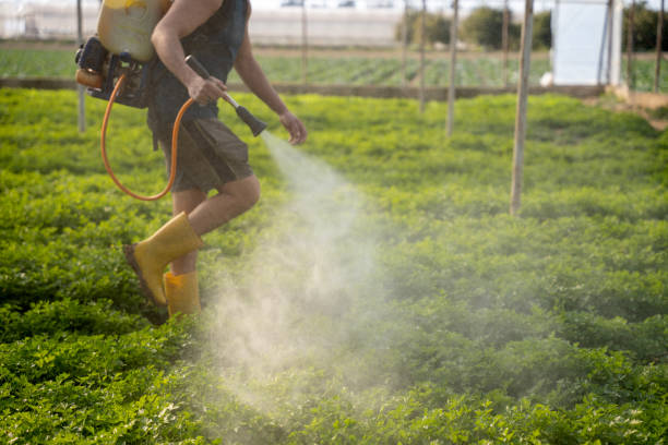 Best Mosquito Control Services  in Crawfordville, FL