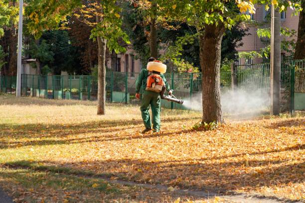 Best Local Pest Control Services  in Crawfordville, FL