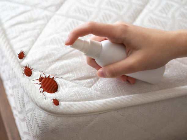 Best Affordable Pest Control Services  in Crawfordville, FL