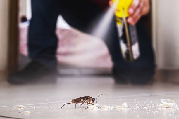 Best Cockroach Control Services  in Crawfordville, FL