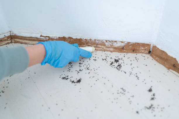 Best Best Pest Control Companies  in Crawfordville, FL