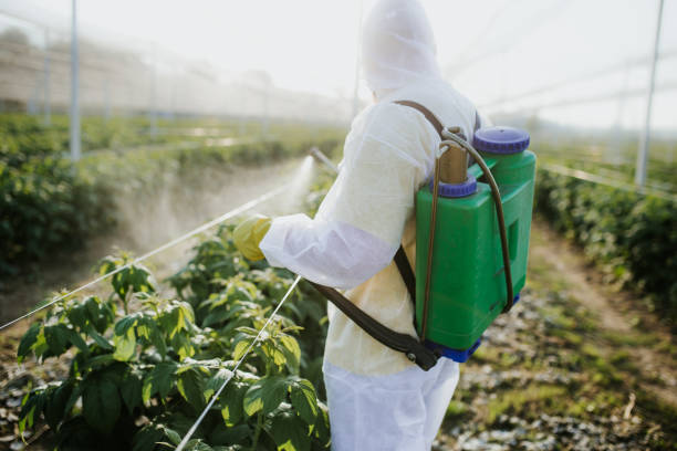 Flea Control Services in Crawfordville, FL